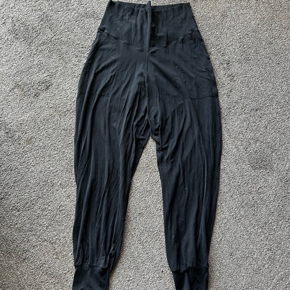 Women's Size L Aerie joggers